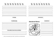 Biene-Faltbuch-vierseitig-4.pdf